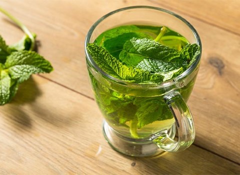 تصویر 4 از خرید و قیمت عرق نعناع سنتی درجه ۱ + فروش عمده